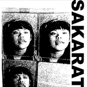 Mortuary Voyeurism: Feasting On The Swell Of The Fourth Stage Of Death