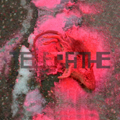 Bells (free Blood Remix) by Telepathe