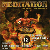 Meditation - Downbeat In The Jungle 3