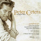One Clear Voice by Peter Cetera