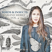 Arlene Sierra, Vol. 4: Birds & Insects