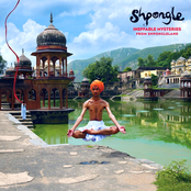 Walking Backwards Through The Cosmic Mirror by Shpongle