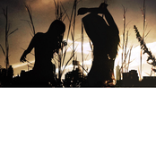 big proverb - Single