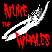 Nuke the Whales