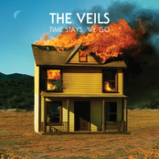 Turn From The Rain by The Veils