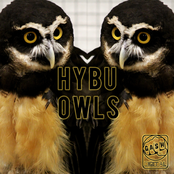 Owls EP