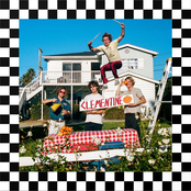 Sun Room: Clementine