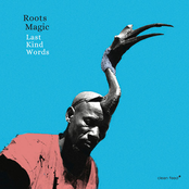 2017-Last Kind Words