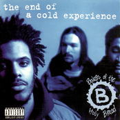 The End Of A Cold Experience