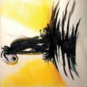 Moscow Puzzles: Horizon