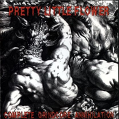 Complete grindcore annihilation