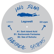 Backwoods Fantasies by Legowelt