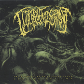 The Slow Decay Of Infested Flesh (Limited Edition)