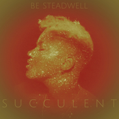 Be Steadwell: Succulent