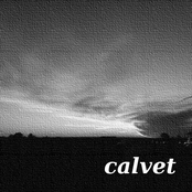 Whatever Makes You Free