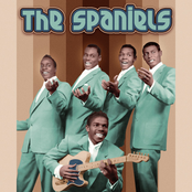 The Spaniels: Presenting the Spaniels