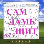 САМ ДАМБ ЩИТ (Volume 1)