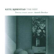 The Nest (preludium) by Ketil Bjørnstad