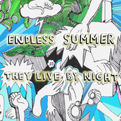 Endless Summer (single 2008)