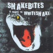 Snakebites: A Tribute To Whitesnake