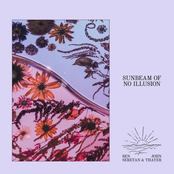 Sunbeam of No Illusion