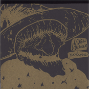 Well Wisher/Polina Split