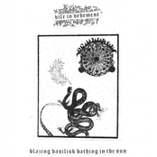 Blazing Basilisk Bathing in the Sun