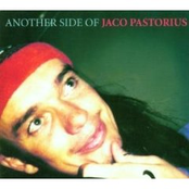 The Days Of Wine And Roses by Jaco Pastorius