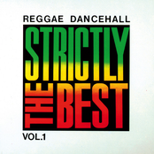 reggae dancehall: strictly the best, volume 1