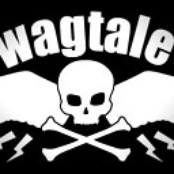 wagtale