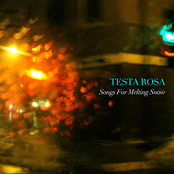 Songs For Melting Snow