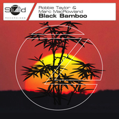 Black Bamboo