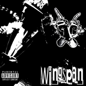 Wingspan