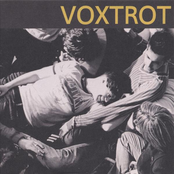 Voxtrot: Raised by Wolves