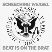 Why'd You Have To Leave by Screeching Weasel