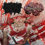 Agonizing Excess Bowel Acid Dissolving The Intestines Causing Massive Organ Trauma / Tamagotchi Is Dead