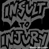 Insult to Injury: Realm of Indifference