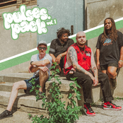 pulses. pack, vol. 1