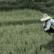 Anthropology Extras 1