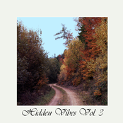 Hidden Vibes Vol. 3