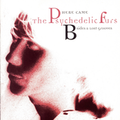 here came the psychedelic furs - b-sides & lost grooves