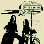 Trees Asylum