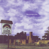 Another Roadside Attraction