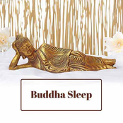 Buddha Sleep