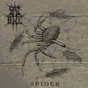Spider (EP)