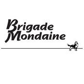 brigade mondaine