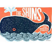 The Shins: 2004-04-16: Austin, TX, USA