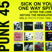 Punk 45: Sick On You! One Way Spit! After the Love & Before the Revolution, Vol. 3: Proto-Punk 1969-77