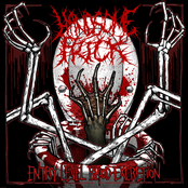 ENTRY LEVEL BLOOD EXCRETION