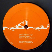 Gabba Wasp / Fog Horn / Narnia